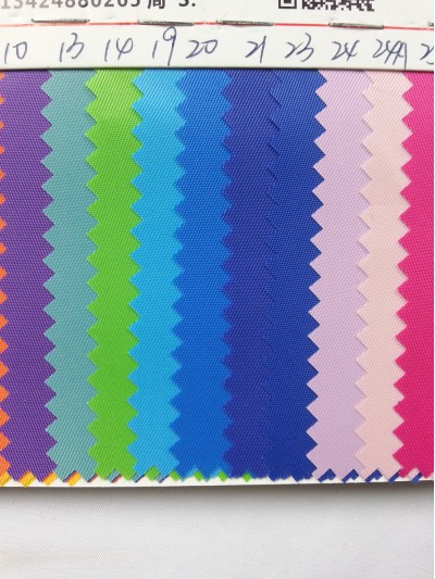 DG-BICG BC-2301 PL  背囊面料 後面照